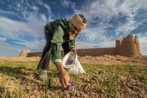 شده، پس بازم می‌شه