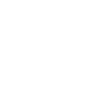 مجمع ملی فعالان جمعیت