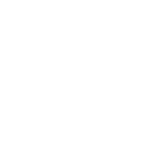 نوجوان مبارز