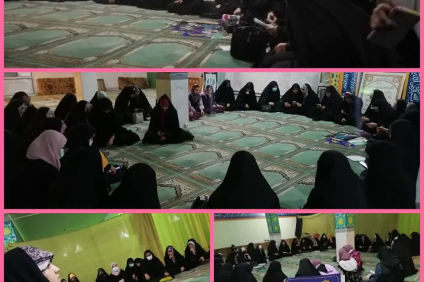 چرخه مربی‌پروری